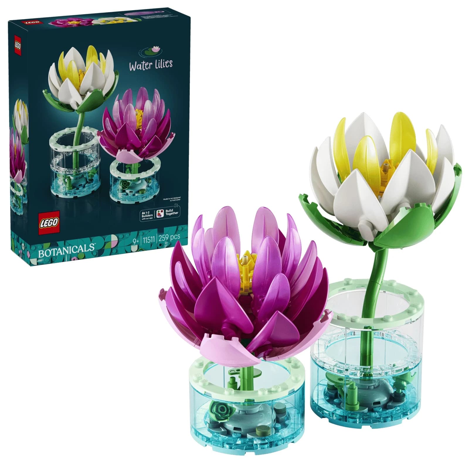 Water Lilies